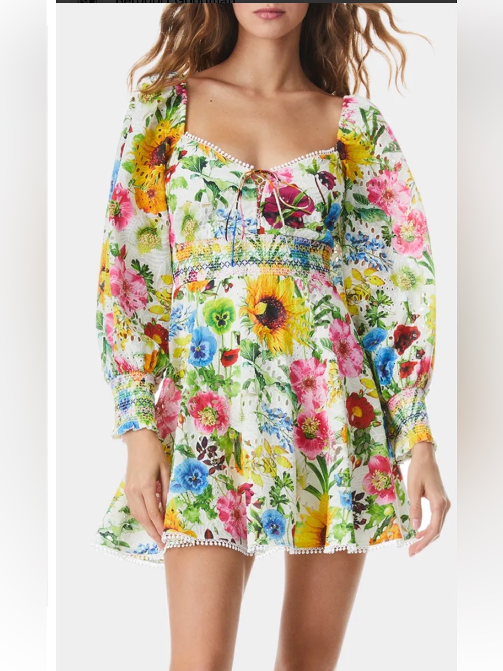 Alice + Olivia Women’s 6 Crawford Sweetheart Colorful Floral Mini Dress